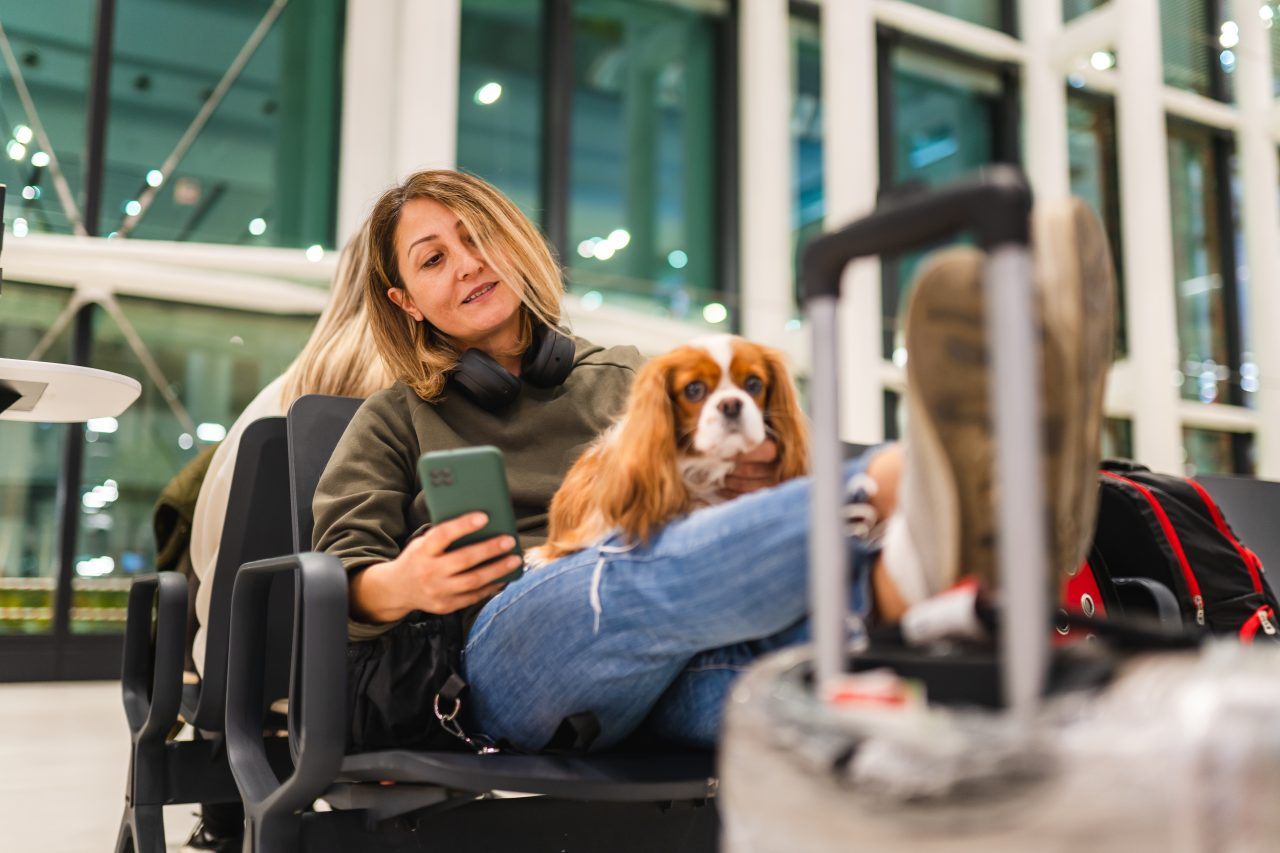 Woman waiting for her flight at the airport with her dog